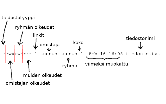 Osa 1 Komentorivi Tietokone Ty v lineen Lapio